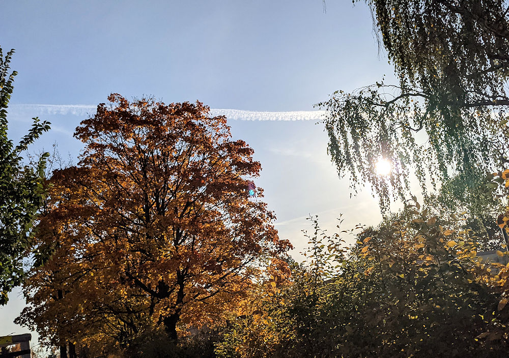 Leerlaufmomente