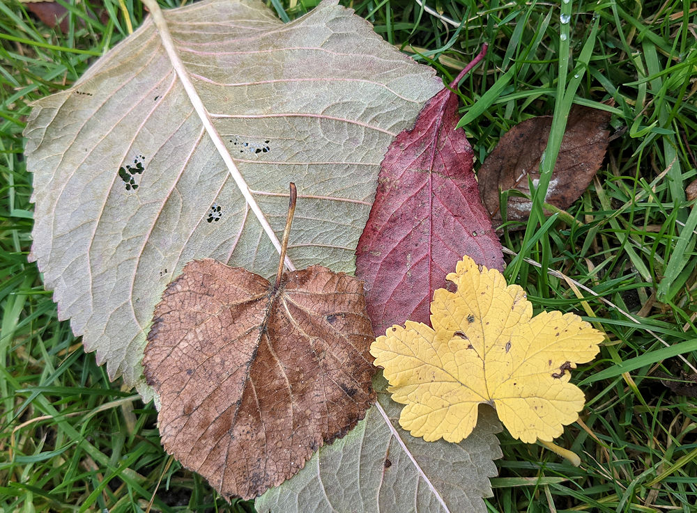 Herbstbild