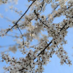 Unser #WIB am 26./27.03.2022 – Zeitumstellung und all sowas…