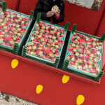 Unsere Wochenlieblinge 16/2022 – Nochmal ein bisschen Ferien-Feeling