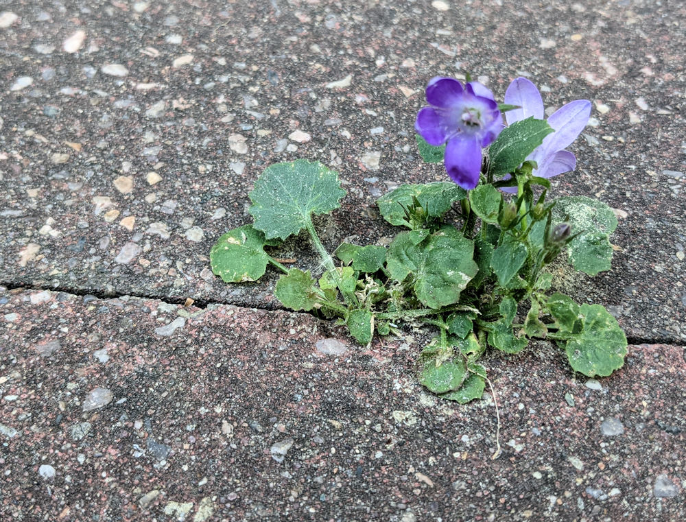 Wochenlieblinge