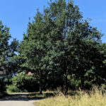 Unsere Wochenlieblinge 25/2022 – Aufreger der Woche!?!