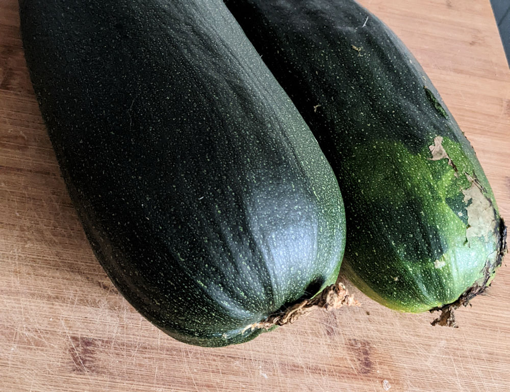 Zucchini