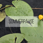 Wir gehen in eine kleine Sommerpause