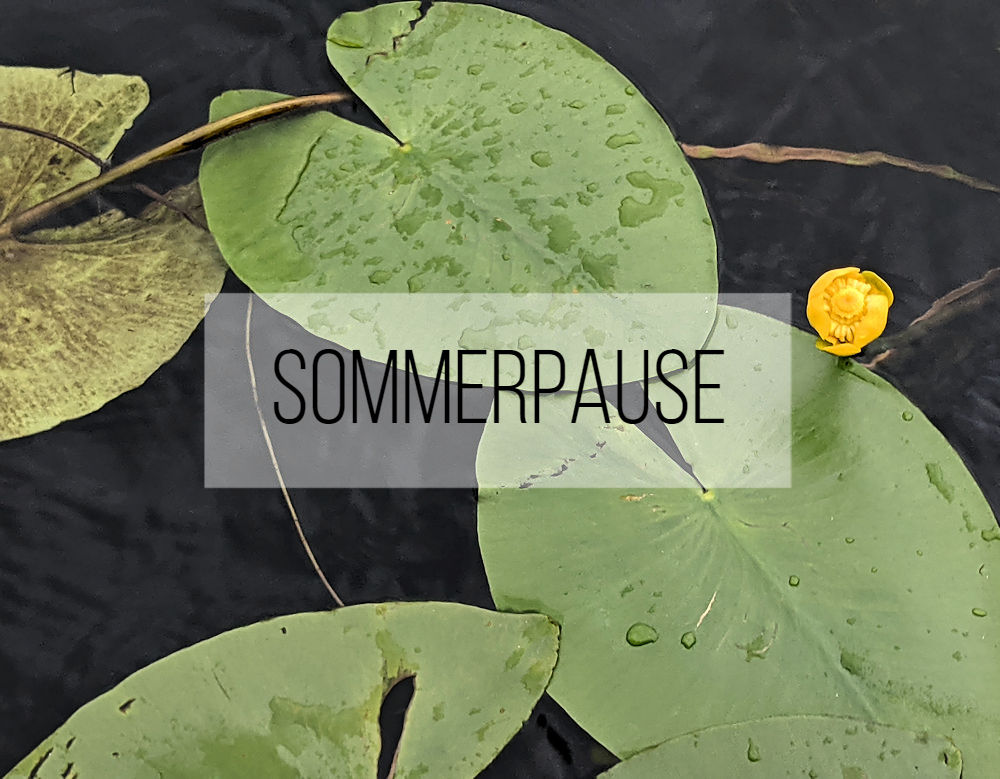 Sommerpause