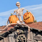 Unser #WIB am 29./30.10.2022 – Halloweenvorbereitungen und mehr…