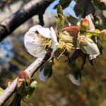 Unser #WIB vom 22./23.04.2023 – Ups, Wochenlieblinge vergessen…