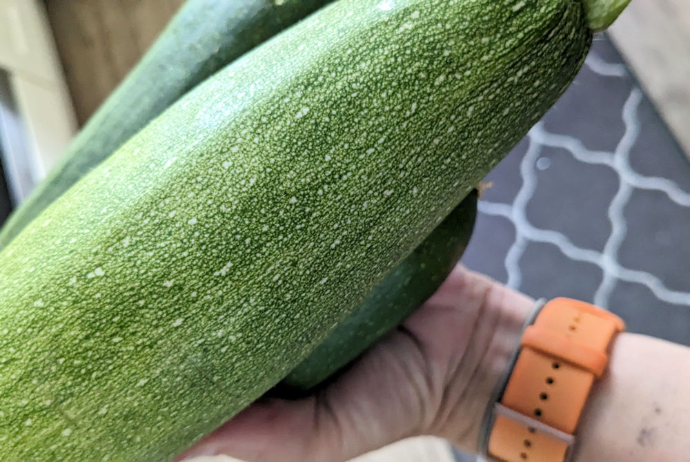 Zucchini