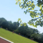 Unser #WIB am 08./09.07.2023 – Saisonabschluss und Hitzewelle