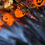 Unsere Wochenlieblinge 44/2023 – Happy Halloween im goldenen Herbst