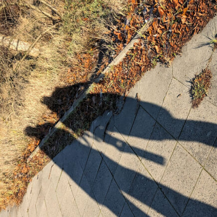 Liebe