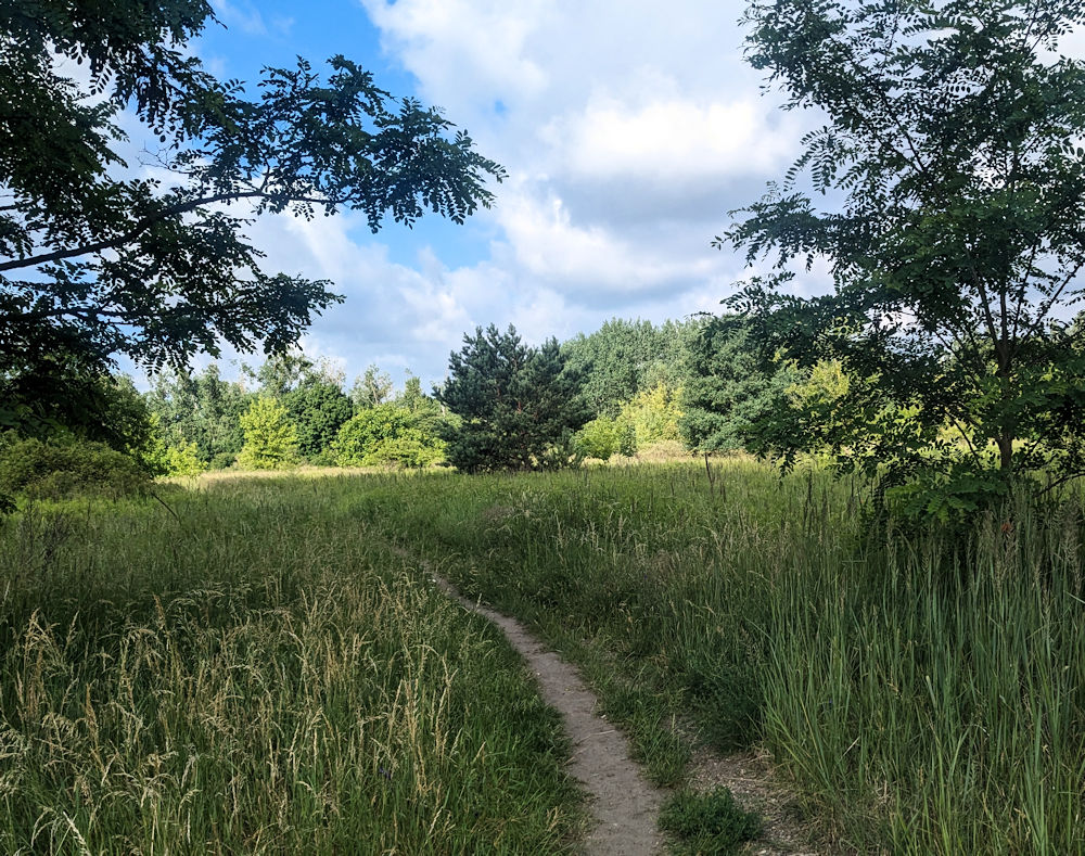 Morgenspaziergang