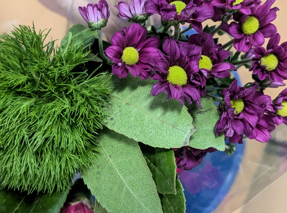 Blumen