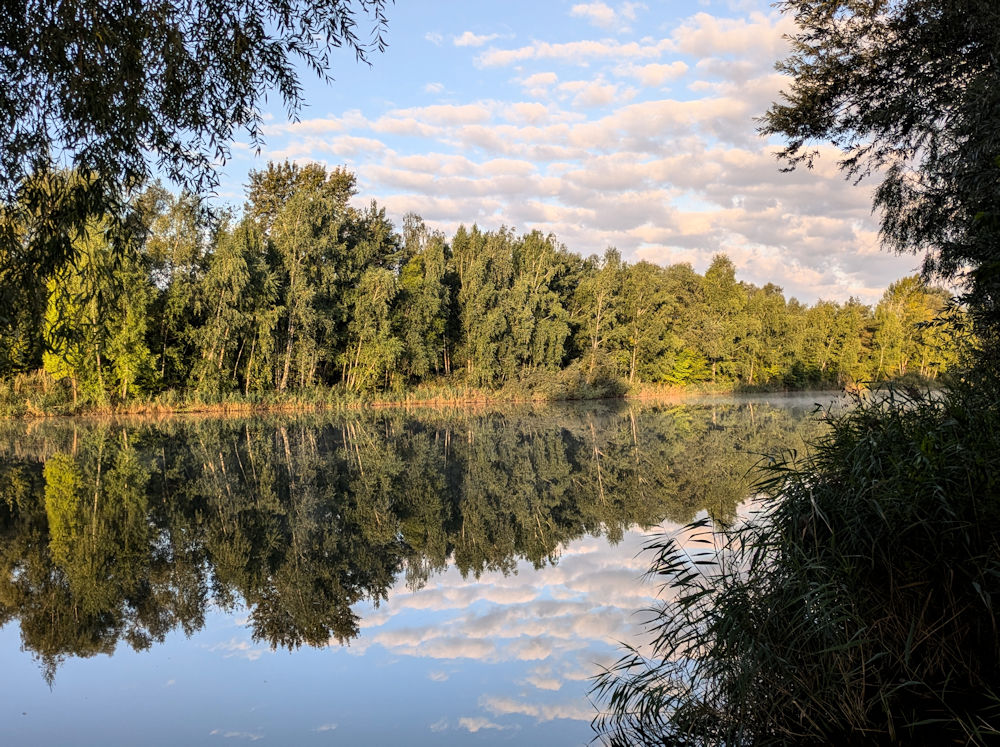 Wochenlieblinge
