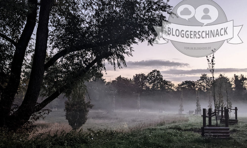 Bloggerschnack