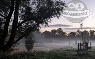 Bloggerschnack
