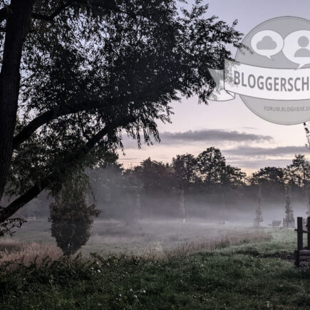 Bloggerschnack