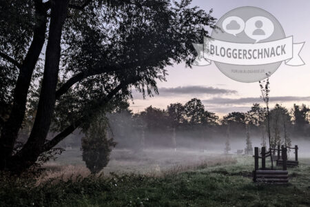 Bloggerschnack