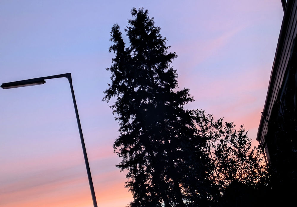 Wochenlieblinge