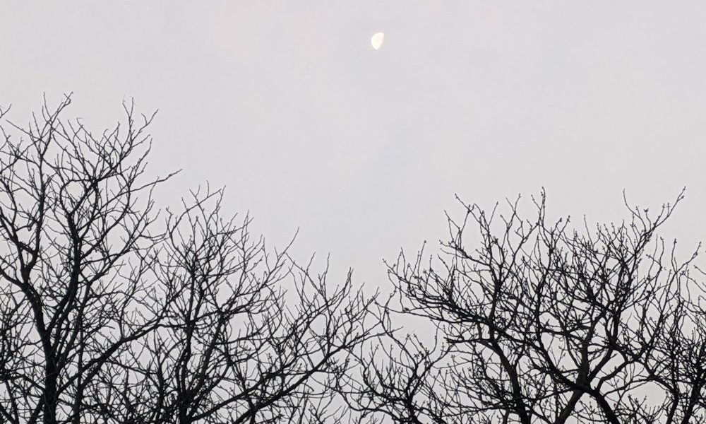 Wochenlieblinge