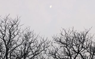 Wochenlieblinge