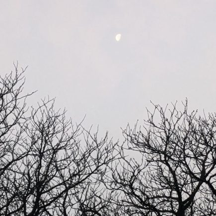 Wochenlieblinge