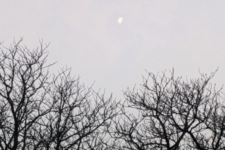 Wochenlieblinge