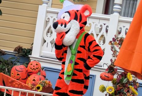 Disneyland