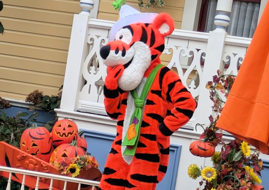 Disneyland