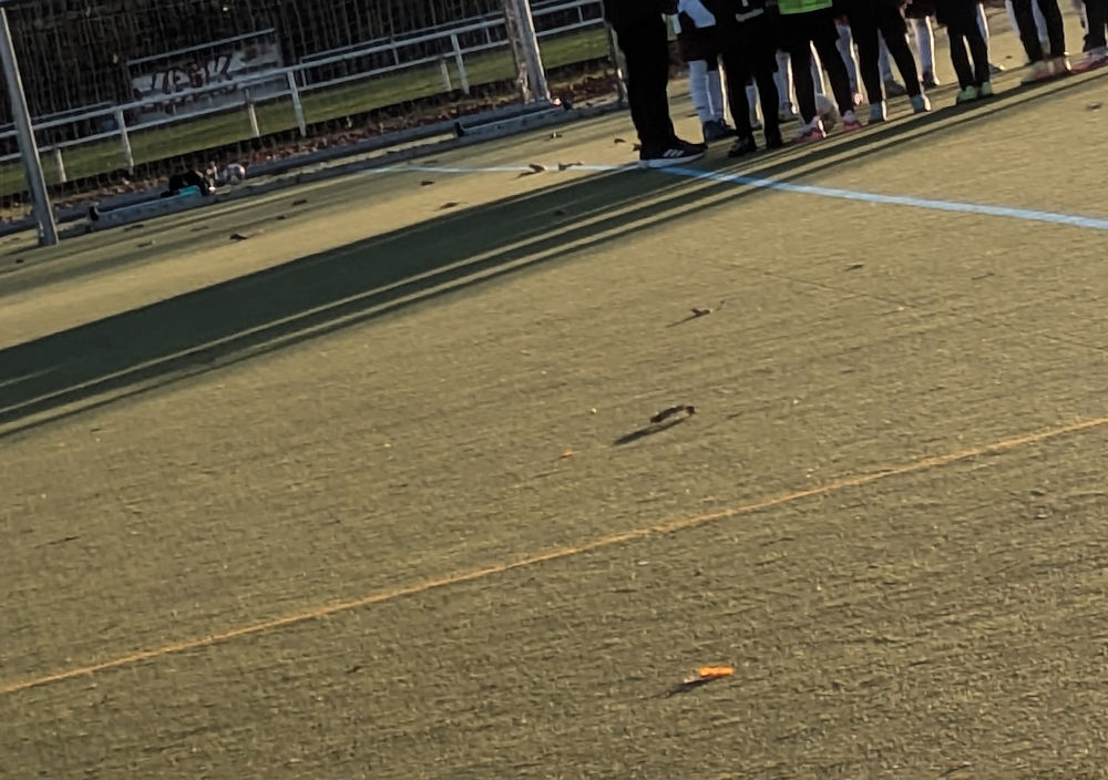 Fußball