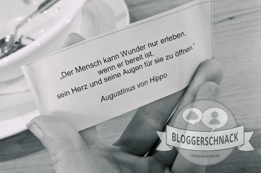 Bloggerschnack