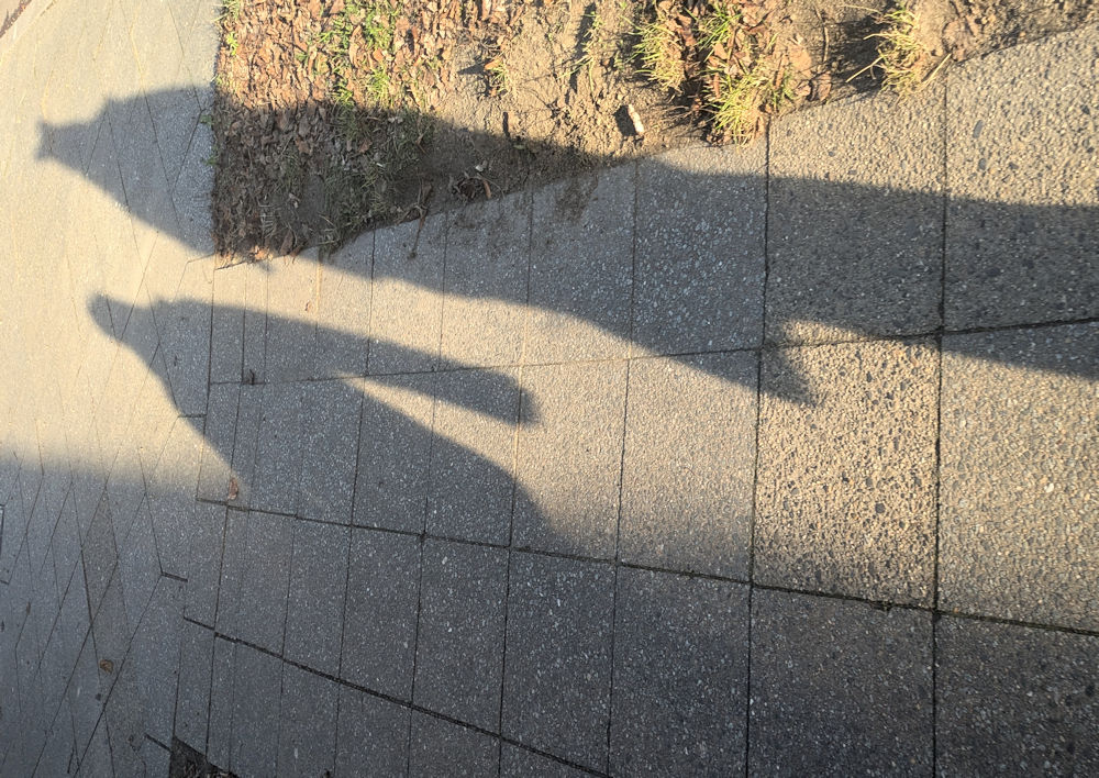 Wochenlieblinge
