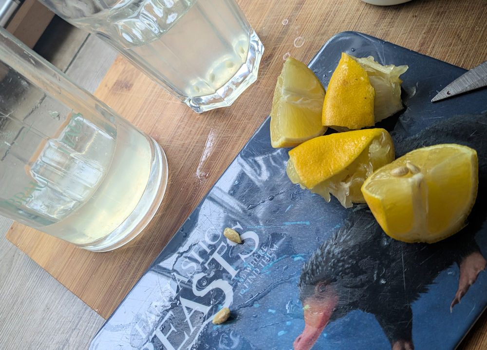 Wochenlieblinge