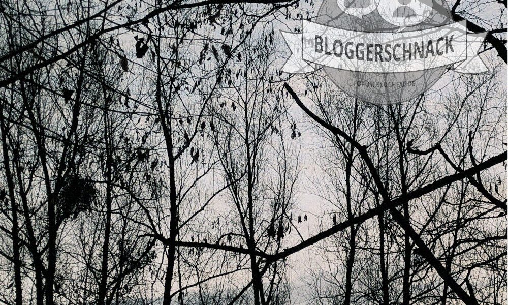 Bloggerschnack