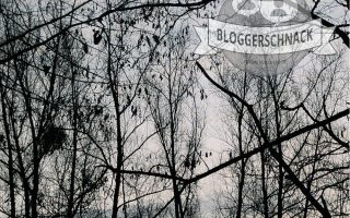 Bloggerschnack