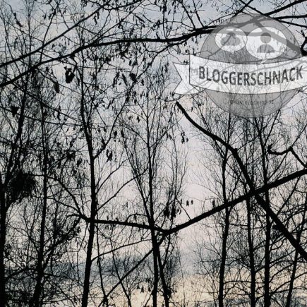Bloggerschnack