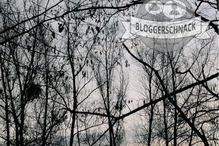 Bloggerschnack