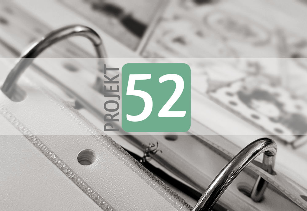 Projekt 52