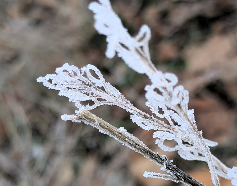 Naturkunst