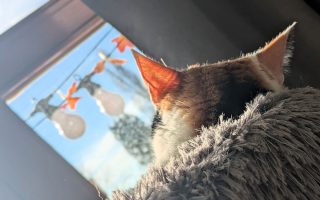 Wochenlieblinge