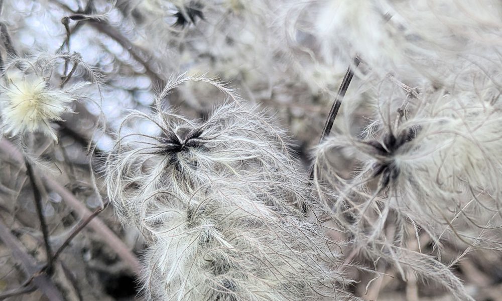 Natur