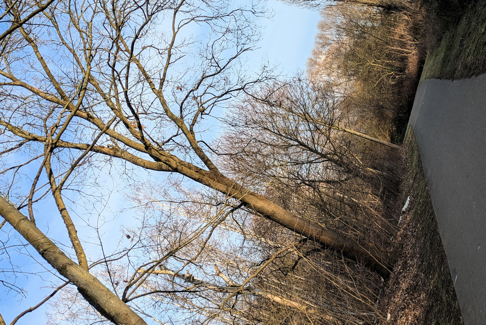 Laufen
