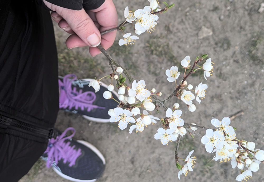 Wochenlieblinge