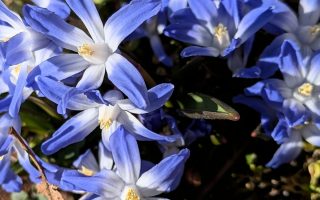 Nature Thursday