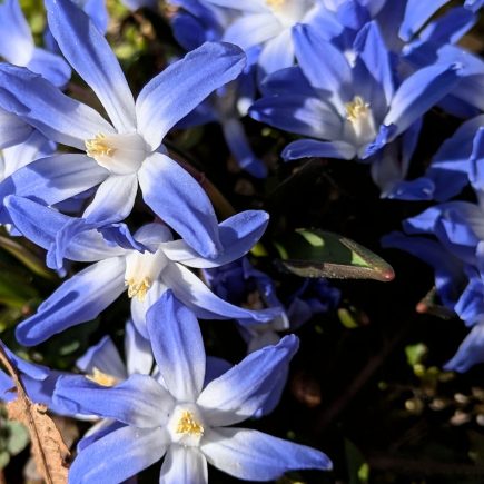 Nature Thursday