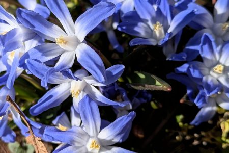 Nature Thursday