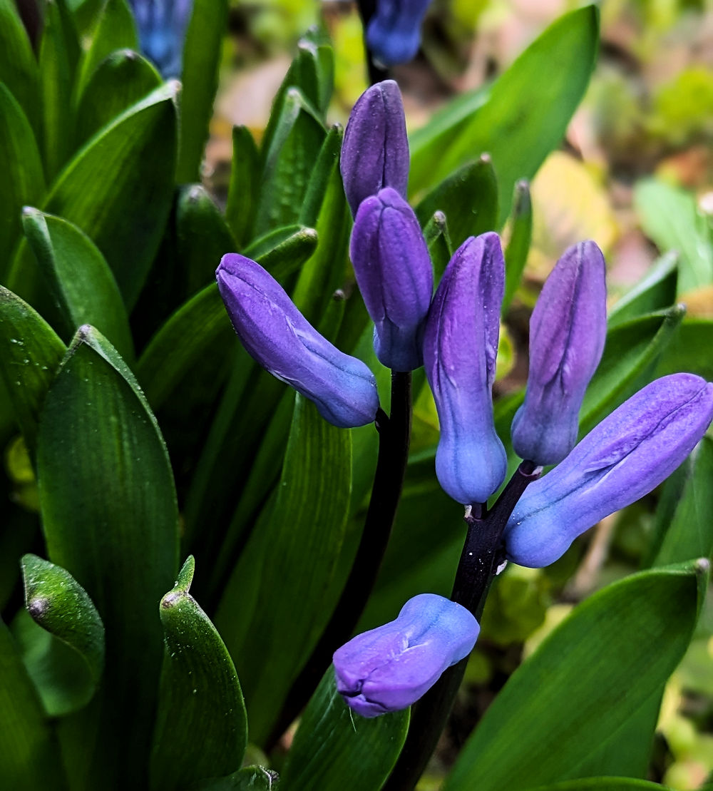 Nature Thursday