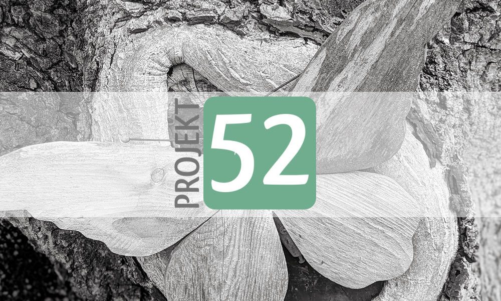 Projekt 52