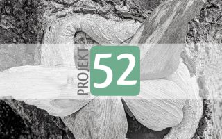 Projekt 52