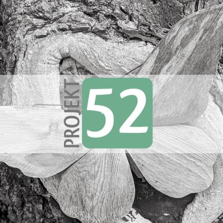 Projekt 52